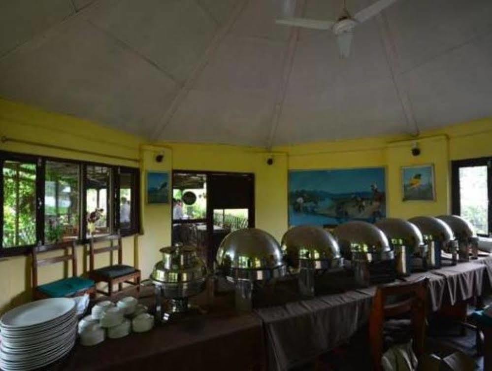 Hotel Rainforest Sauraha Exterior photo