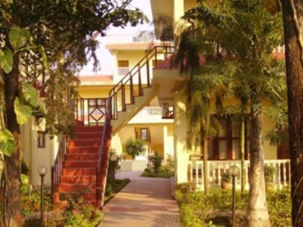 Hotel Rainforest Sauraha Exterior photo