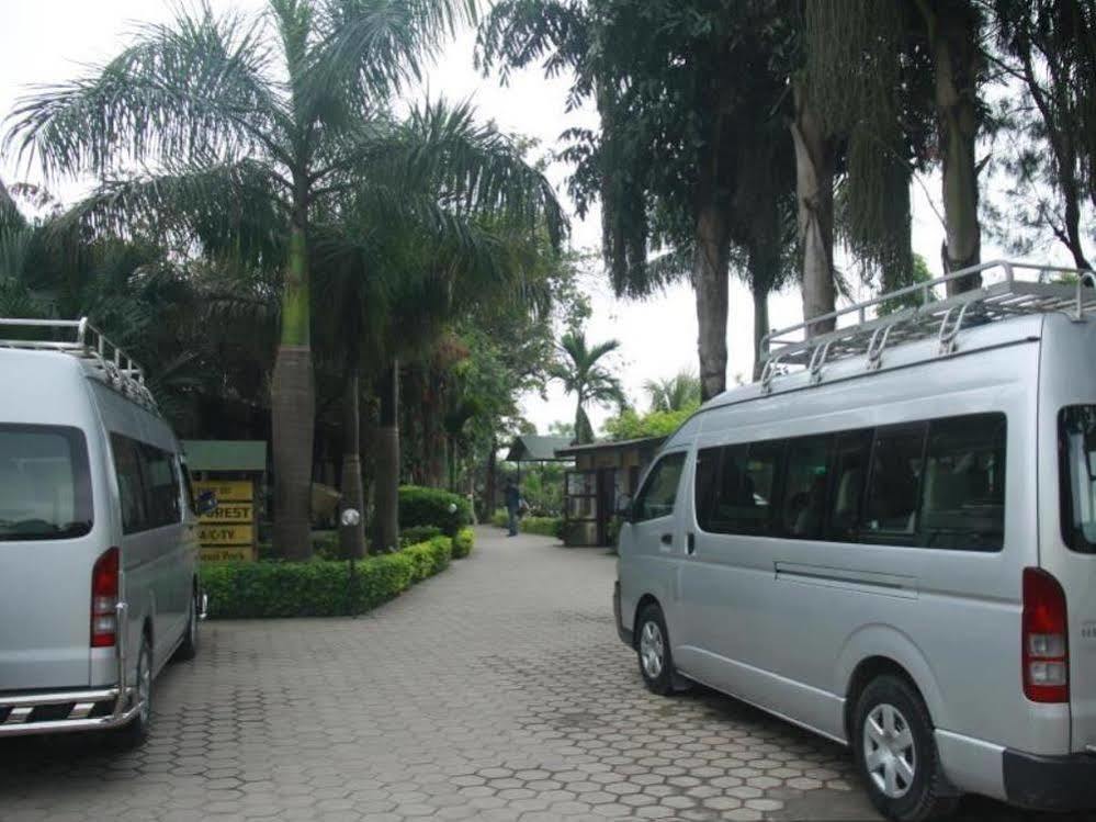 Hotel Rainforest Sauraha Exterior photo